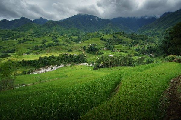 7D6N VIETNAM SAPA  HANOI HALONG MOSLEM TOUR - photo 12